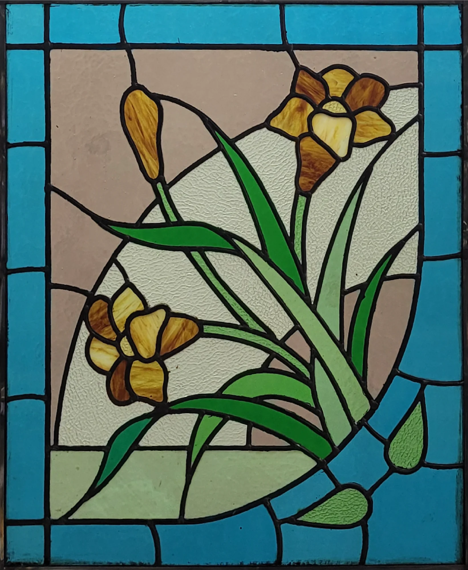 Narcissen met blauwe rand